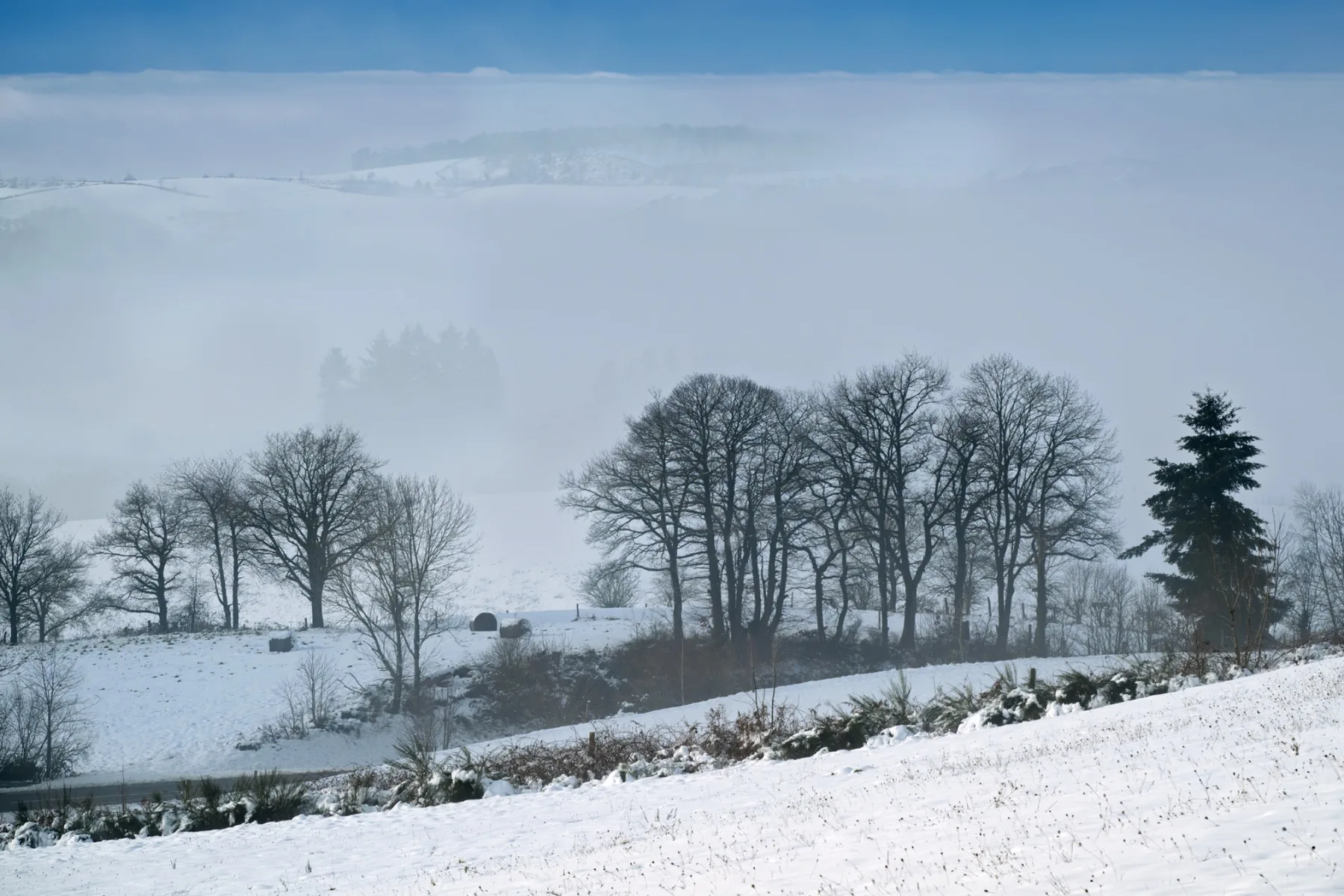 Winterlandschap